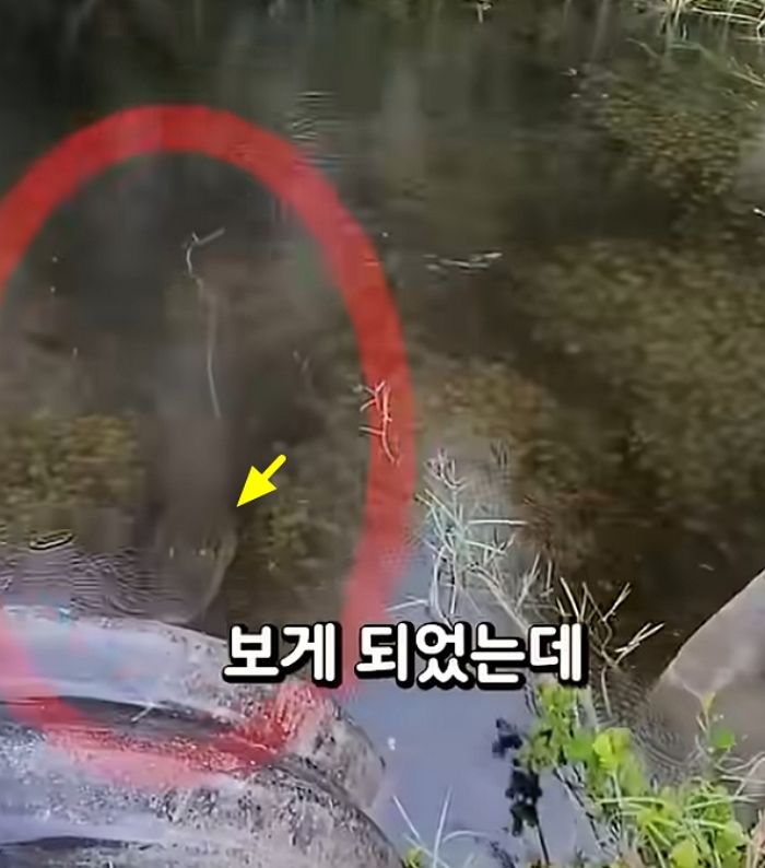 애니멀플래닛