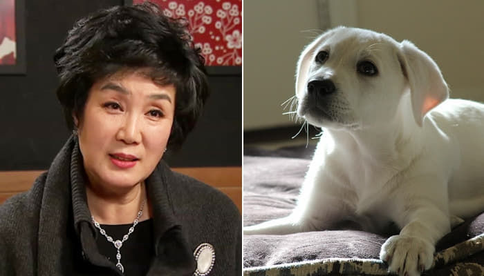 애니멀플래닛