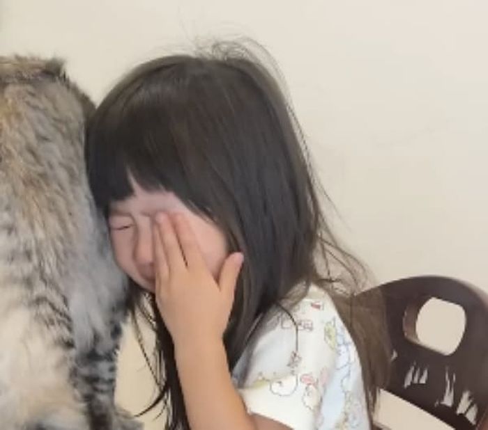 애니멀플래닛