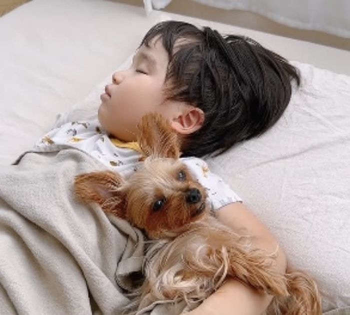 애니멀플래닛