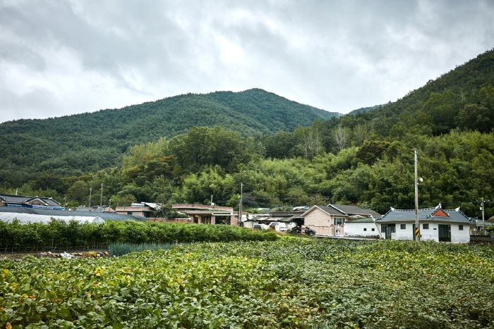 순천 용오름마을 / 사진=한국관광공사@TourAPI