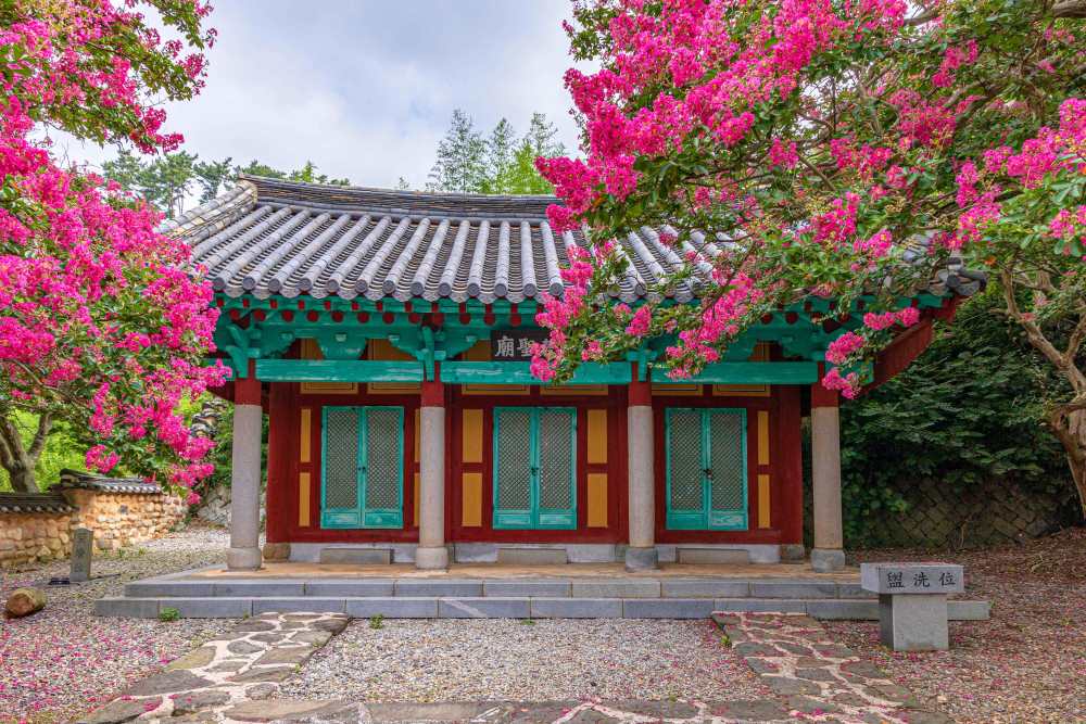 옥구향교 배롱나무 / 사진=한국관광공사 포토코리아@황성훈