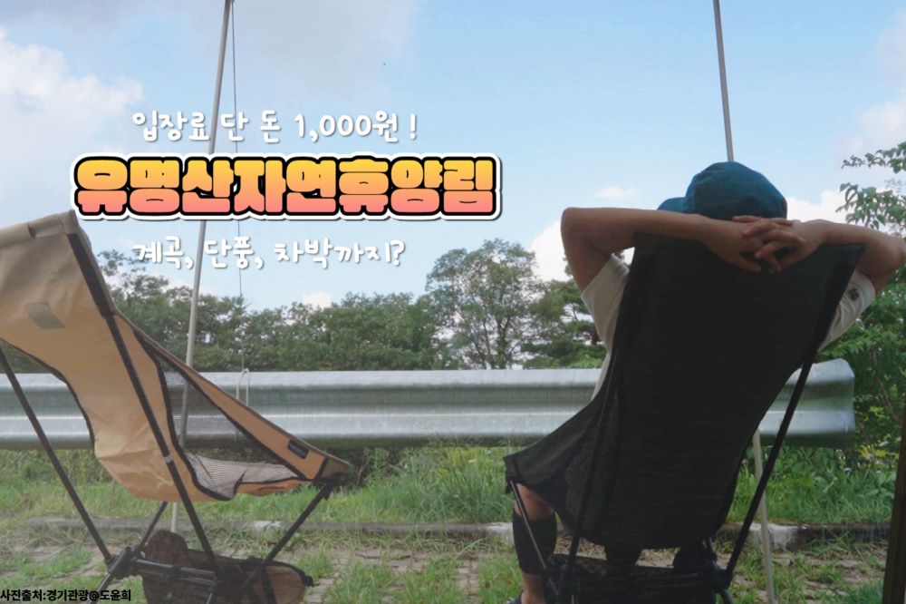유명산자연휴양림 / ⓒ인포매틱스뷰