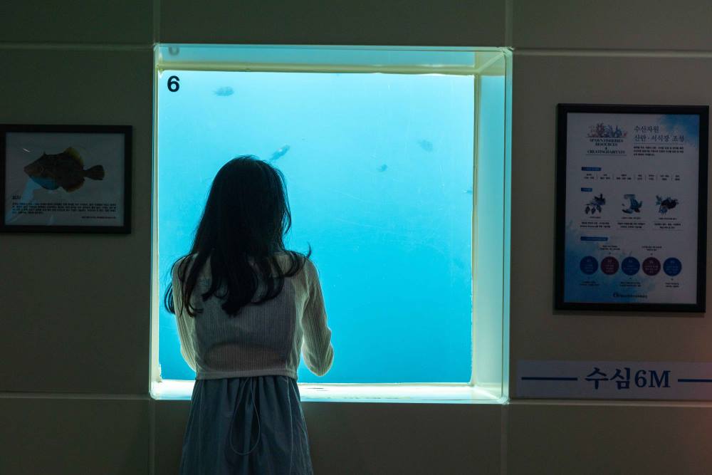 천부해중전망대 / 사진=한국관광공사 포토코리아@천준교
