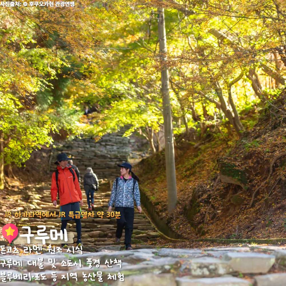 구루메 / ⓒ인포매틱스뷰