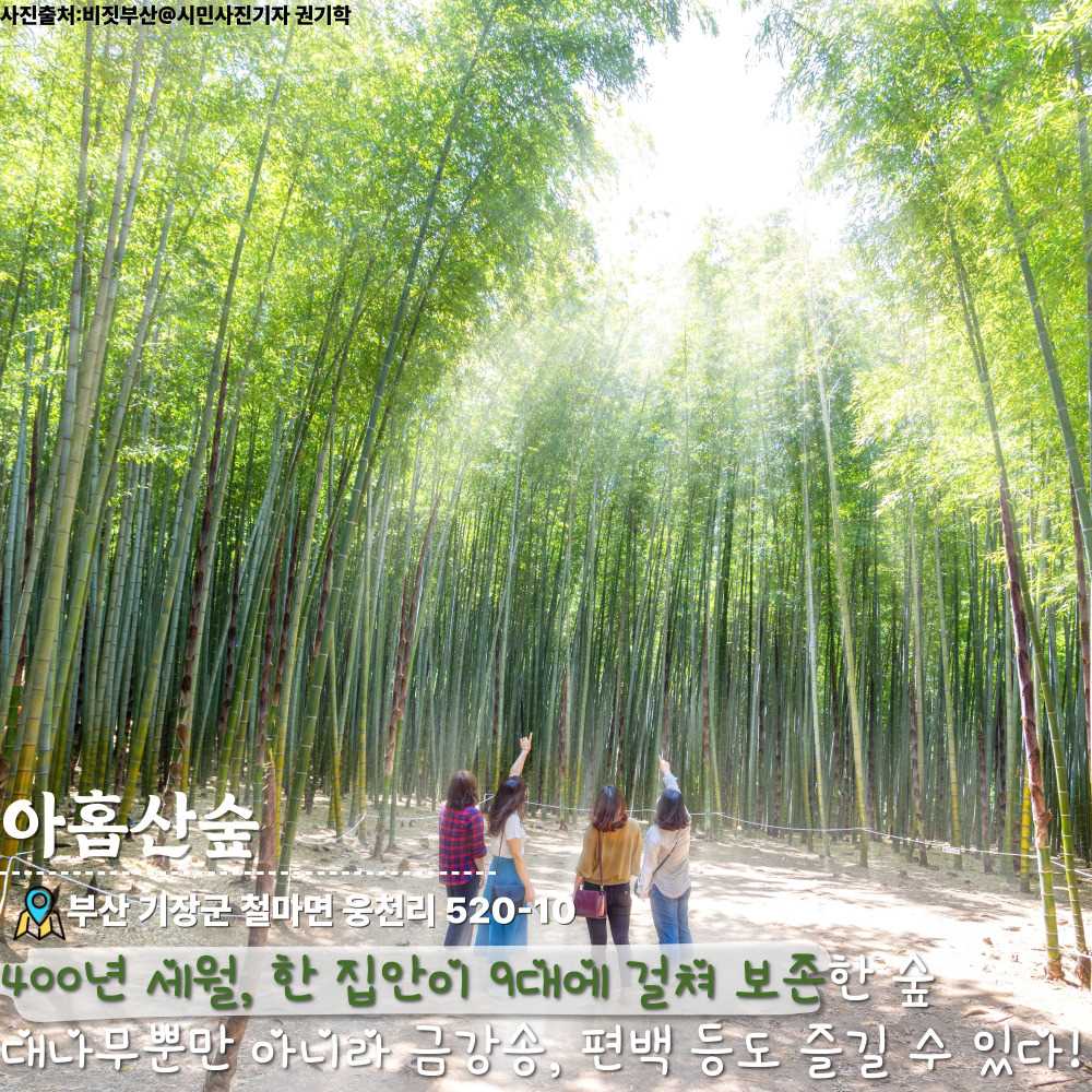 아홉산숲 / ⓒ인포매틱스뷰