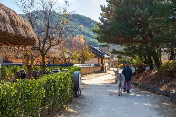 영주 선비촌 / 사진=한국관광공사 포토코리아@김지호
