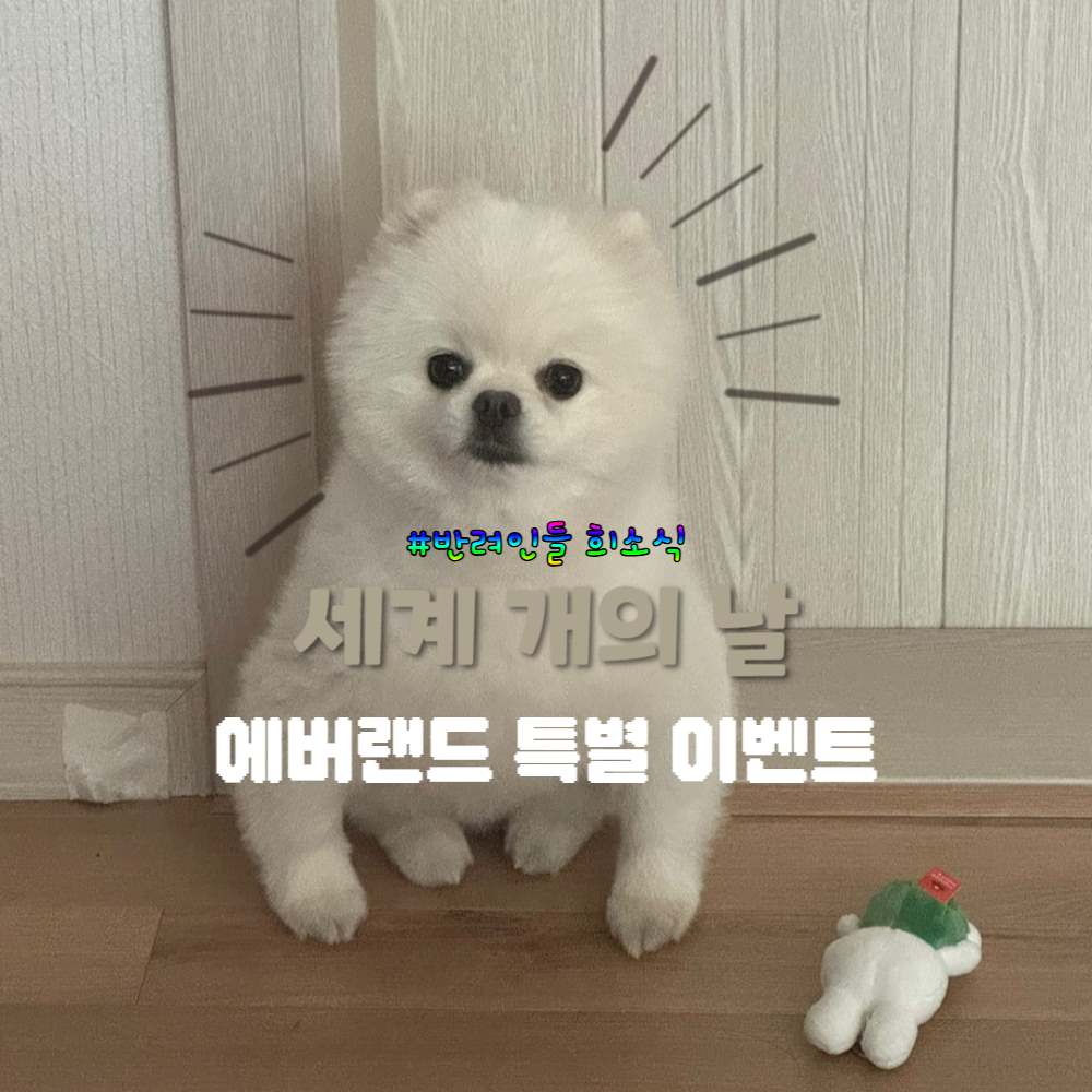 2025 세계 개의 날 맞이 에버랜드 이벤트 / ⓒ인포매틱스뷰