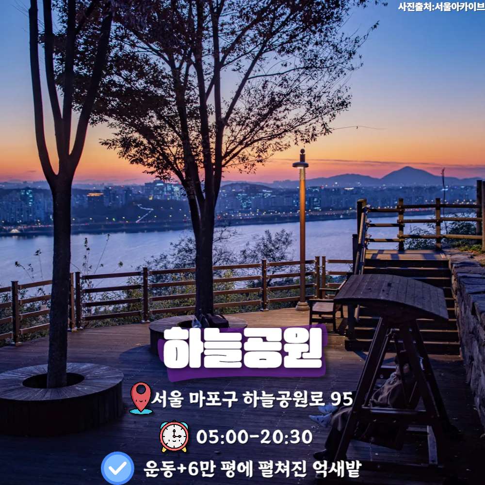 하늘공원 / ⓒ인포매틱스뷰