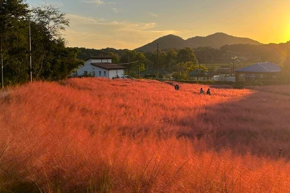 고창청농원 마을 이야기 / 사진=한국관광공사@TourAPI