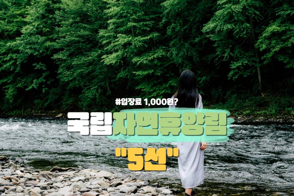 국립자연휴양림 '5선' / ⓒ인포매틱스뷰