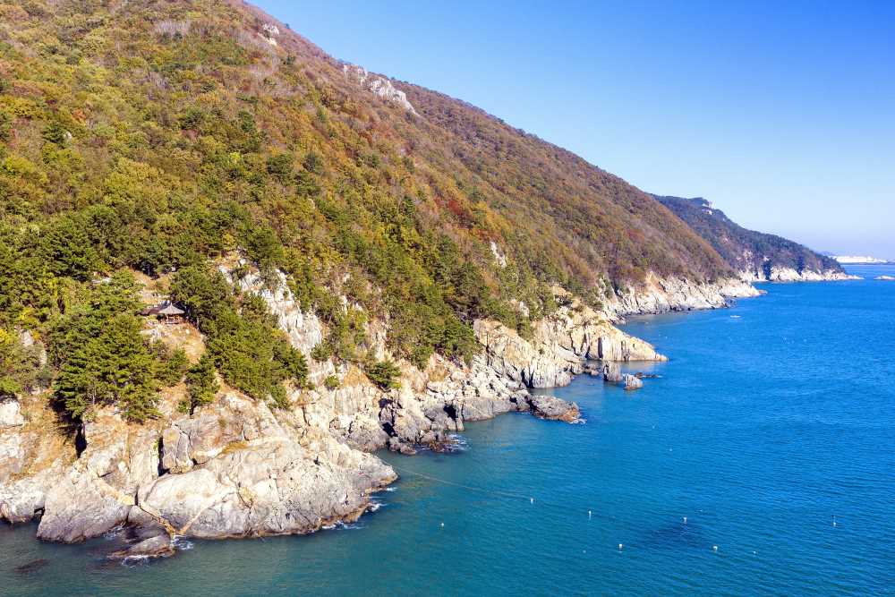 [가덕도 해안산책로] 강서구 / 사진=비짓부산@써머트리, 이음미디어