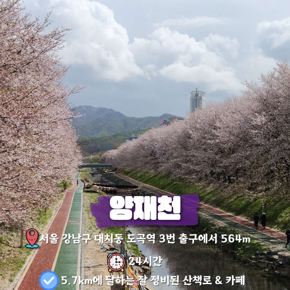 양재천 / ⓒ인포매틱스뷰