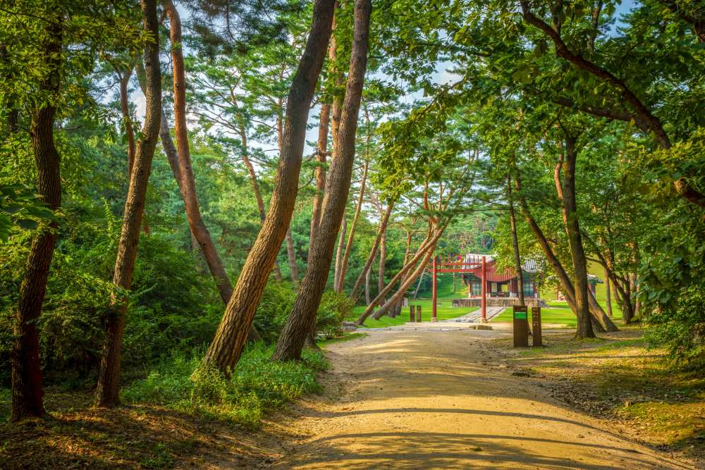 동구릉 / 사진=경기관광