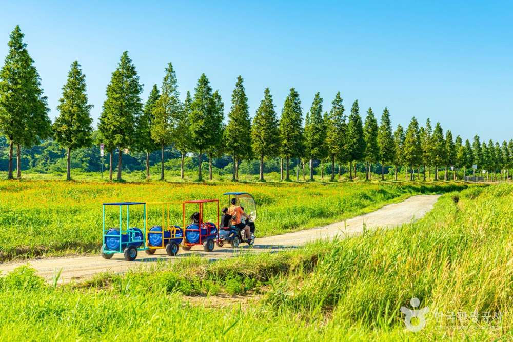 깡통 열차를 즐기는 행복한 가족 / 사진=한국관광공사@여행작가 김정흠
