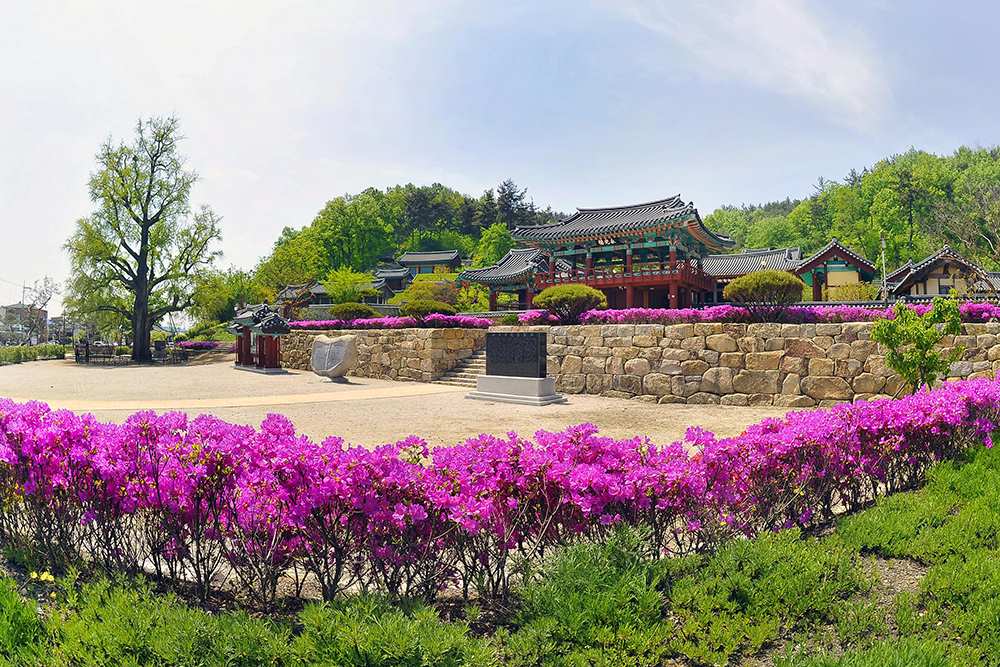 정몽주 이름의 유래 / 사진=경북나드리@한경자