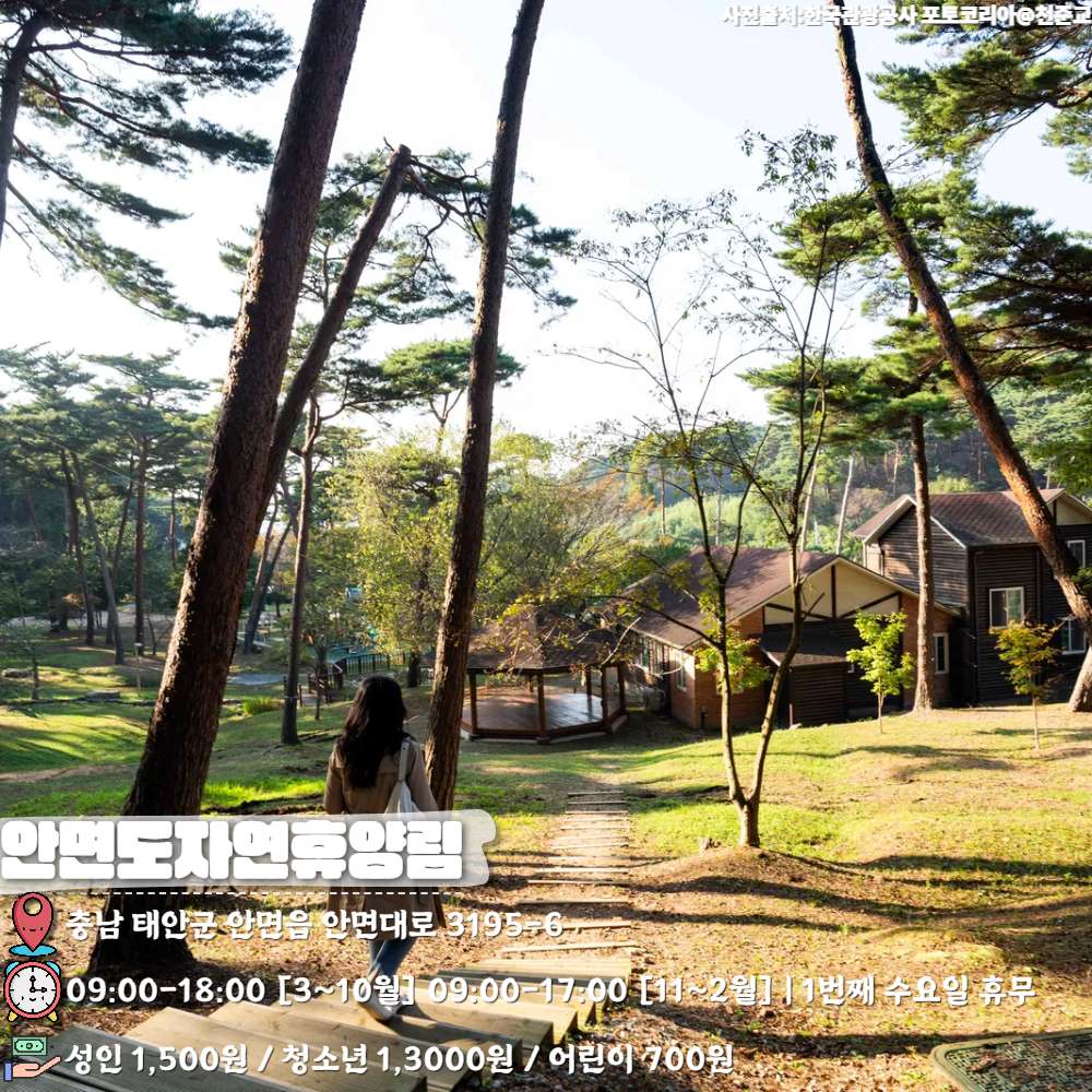 안면도자연휴양림 / ⓒ인포매틱스뷰