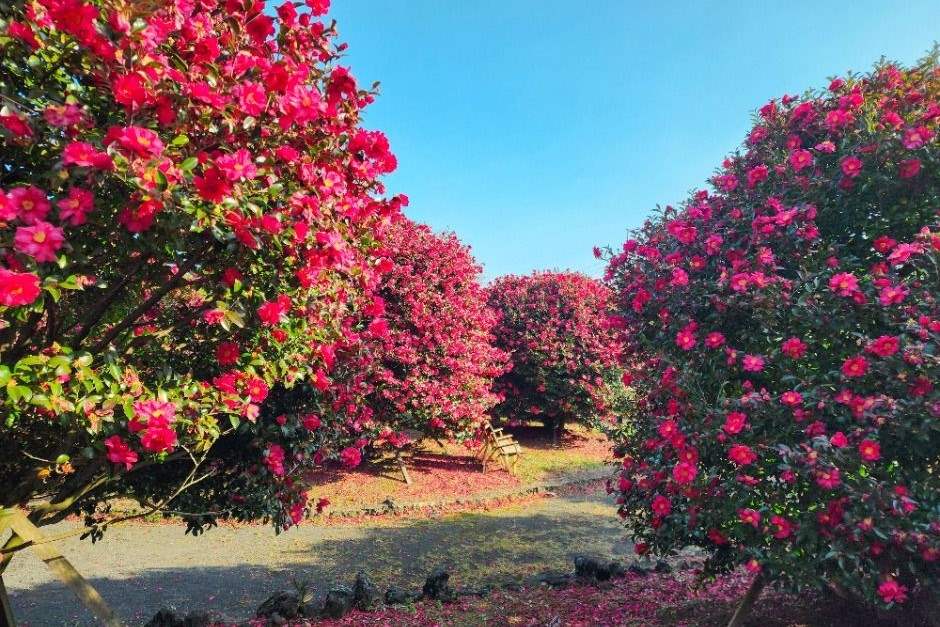 다양한 체험프로그램 / 사진=한국관광공사@TourAPI