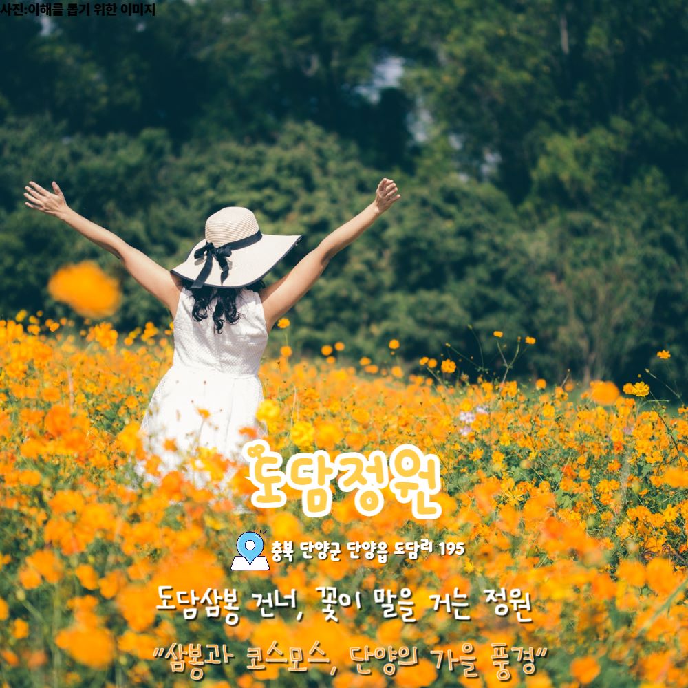 도담정원(이해를 돕기 위한 이미지) / ⓒ인포매틱스뷰