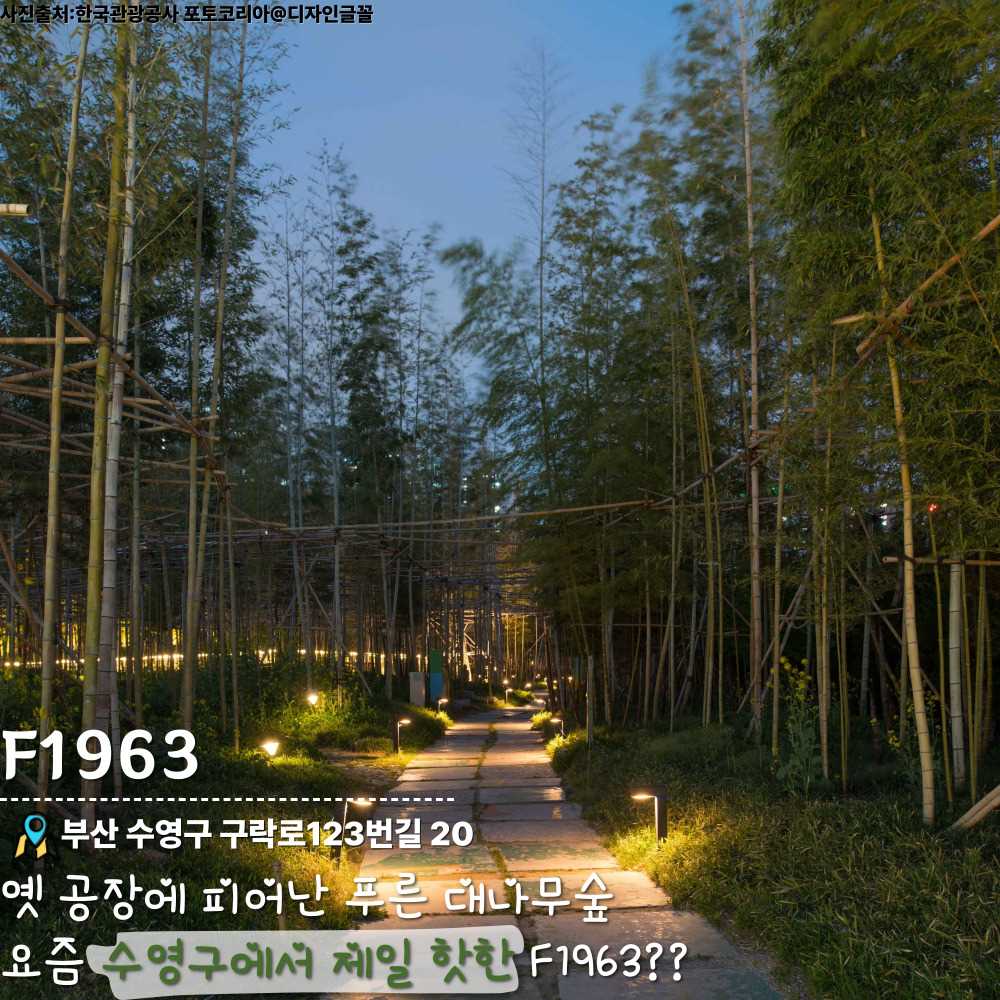 F1963 / ⓒ인포매틱스뷰