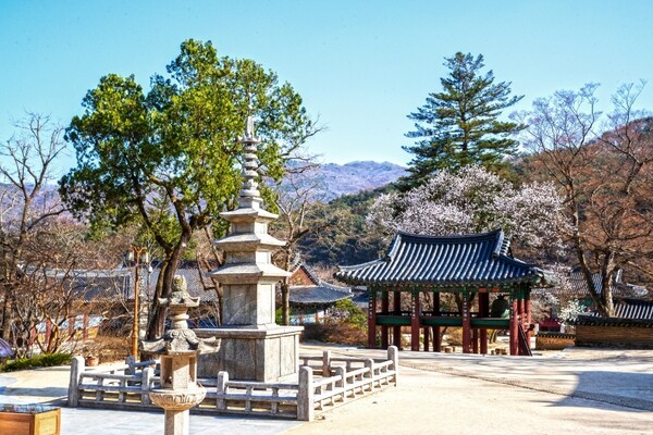 직지사 (ⓒ포토코리아)