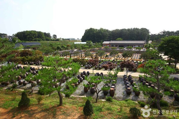고스락 (ⓒ한국관광공사)
