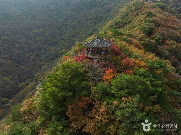 내장산 (ⓒ한국관광공사 대한민국 구석구석)