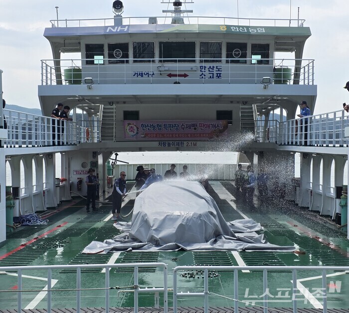 통영해경이 한산농협카페리5호에서 실시한 전기차 화재 대응 역량 강화 훈련 장면,(사진= 강맹순 기자)