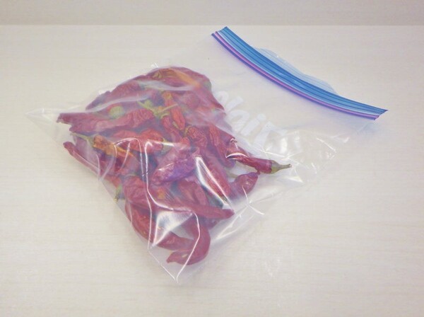 ameblo