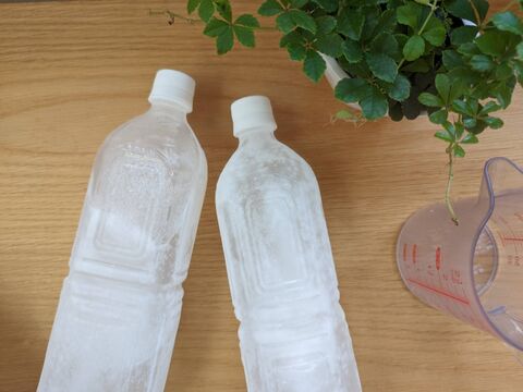 kurashinista