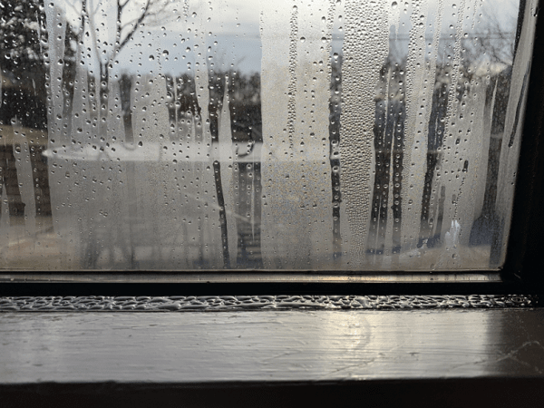 shinku-glass