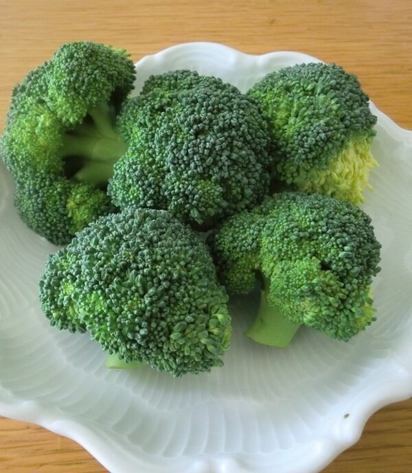cookpad