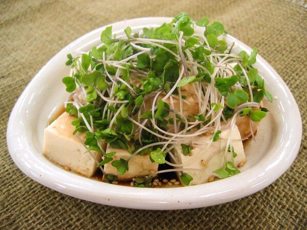 saladcosmo