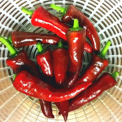 cookpad