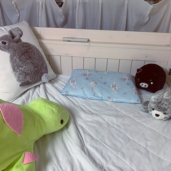 roomclip