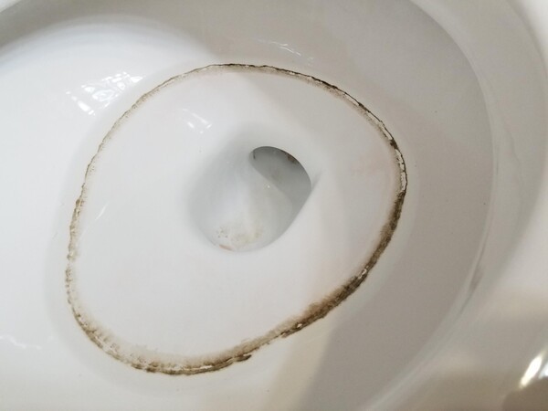 goldstandardplumbingsocal