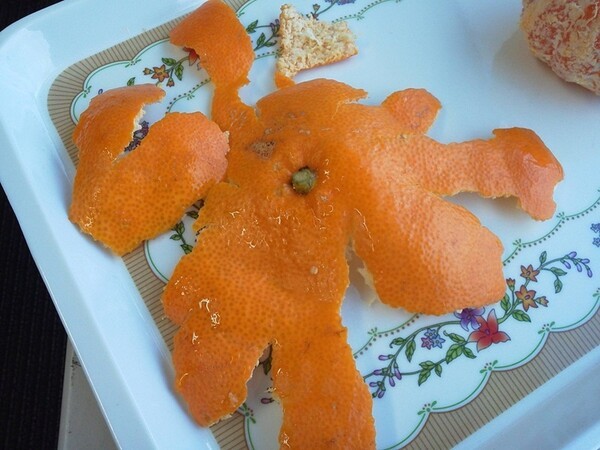 tamaseika