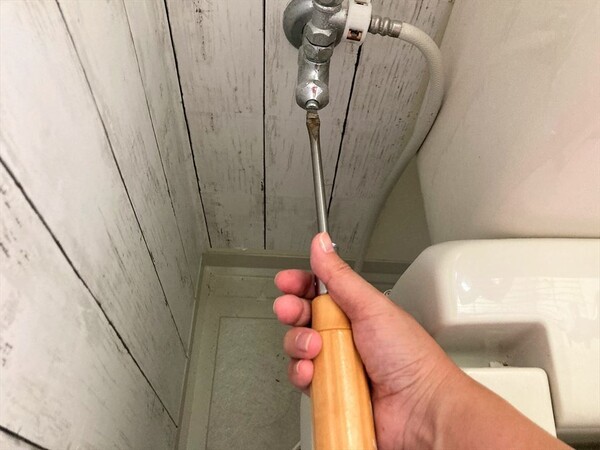 woodylabo