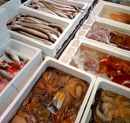 daiki-foods