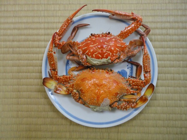 kurashichie