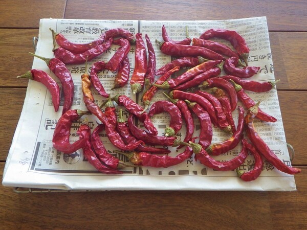 ameblo