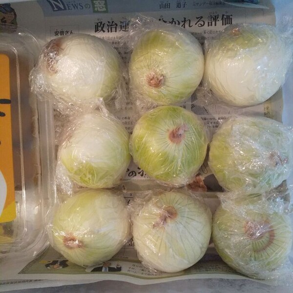 kurashinista