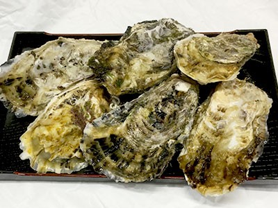 sakaguchisuisan