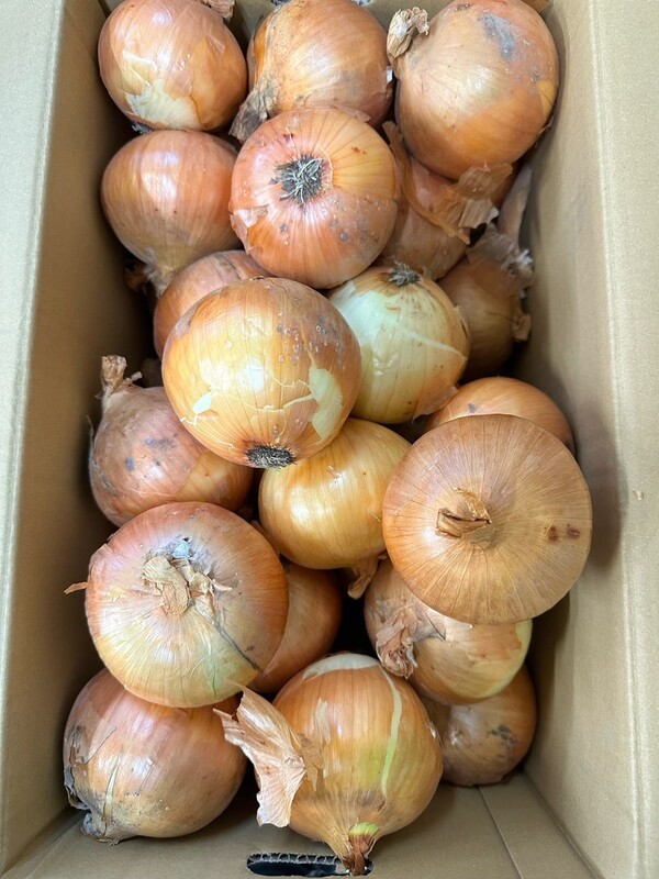 ameblo