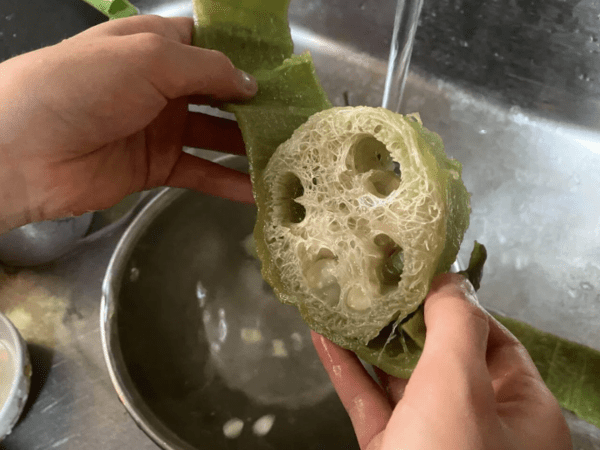permaculture