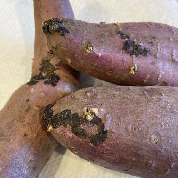 sweetpotatoes