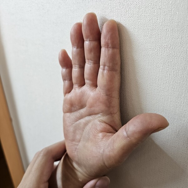 건강의 모든 것