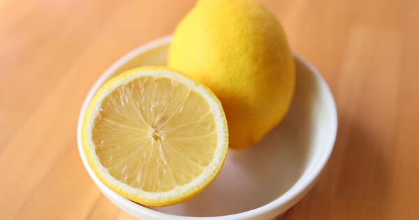 kurashinista