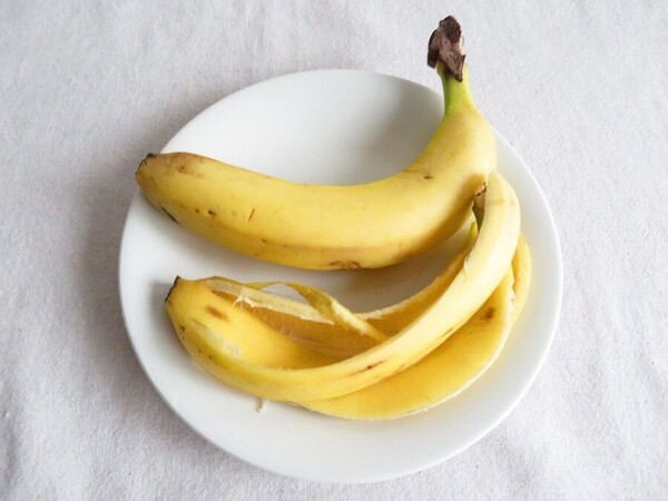 kurashinista