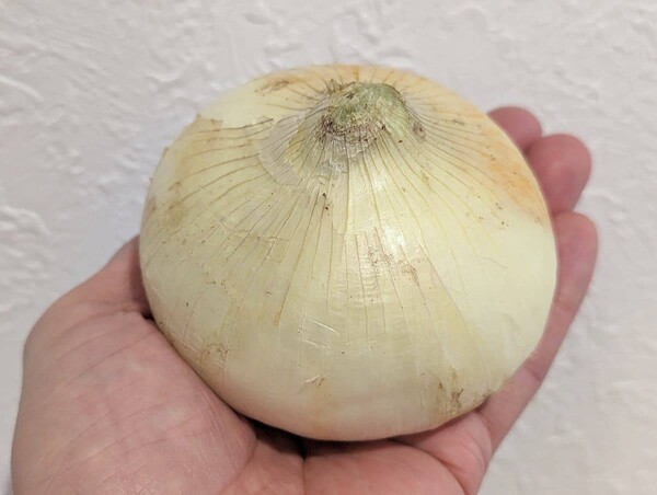 macaro